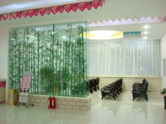 ҽԺ������